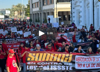 Protestas ayer en Morelos, QR, Sonora, Sinaloa, Oaxaca y CDMX