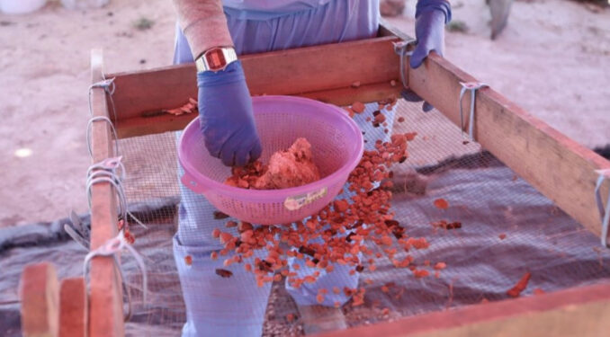 Ninguna evidencia de crematorios en rancho Izaguirre de Teuchitlán