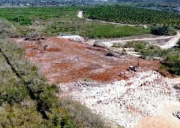 Denuncian en Mérida devastación de reserva ecológica de Cuxtal