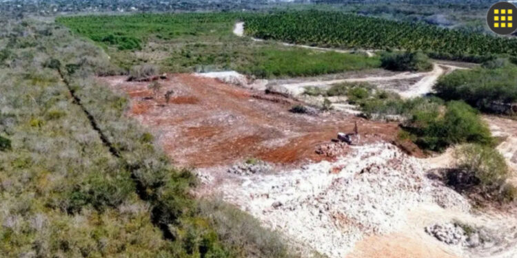 Denuncian en Mérida devastación de reserva ecológica de Cuxtal