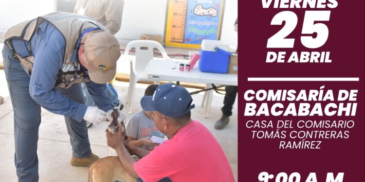 ¡Atención, Bacabachi y comunidades vecinas!