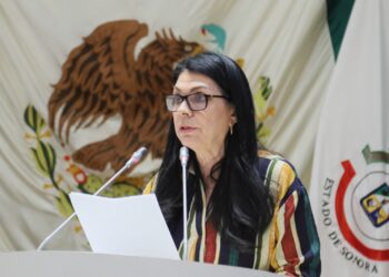 Diputada Ernestina Castro busca establecer en la ley la figura de delito de violencia económica  post separación