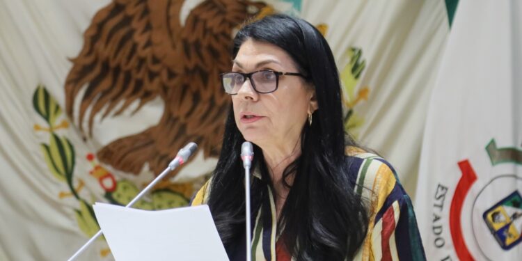 Diputada Ernestina Castro busca establecer en la ley la figura de delito de violencia económica  post separación