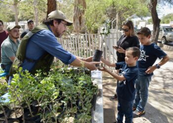 Reciben ciudadanos árboles nativos en campaña gratuita del Vivero Municipal