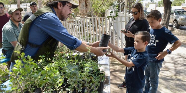 Reciben ciudadanos árboles nativos en campaña gratuita del Vivero Municipal