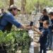 Reciben ciudadanos árboles nativos en campaña gratuita del Vivero Municipal