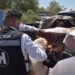 Apoya Protección y Bienestar Animal en el traslado de perros rescatados a albergue que buscan un hogar definitivo