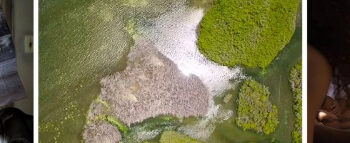 Festival de cine en Cuba resalta lucha por el medio ambiente