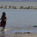 Contaminación causa daño renal a menores en Chapala