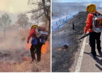 Combaten incendio forestal en Yécora