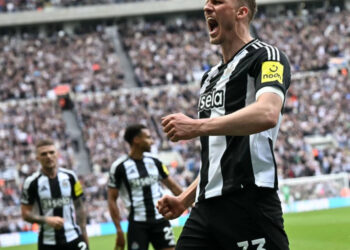 Ipswich pierde con Newcastle y desciende a segunda división del futbol inglés