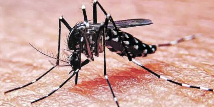 Inicia Salud Municipal acciones preventivas contra el dengue