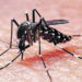 Inicia Salud Municipal acciones preventivas contra el dengue