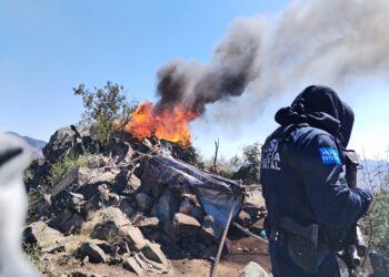 Destruye Gobierno de Sonora 39 puntos de observación en protocolo fronterizo: SSP