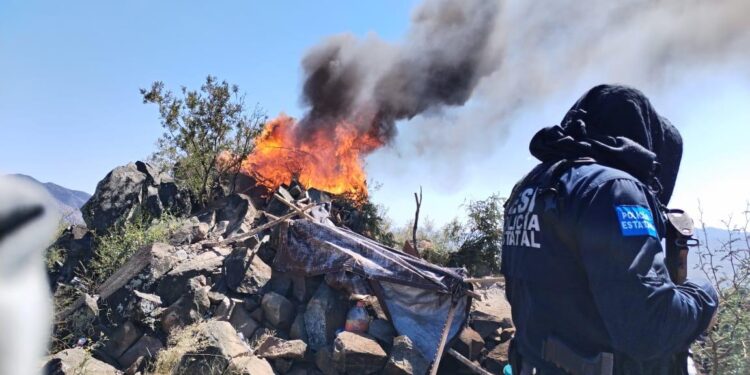 Destruye Gobierno de Sonora 39 puntos de observación en protocolo fronterizo: SSP
