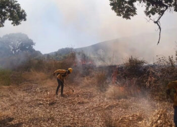 Incendio amenaza zona boscosa de Taretan, Michoacán