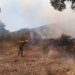 Incendio amenaza zona boscosa de Taretan, Michoacán