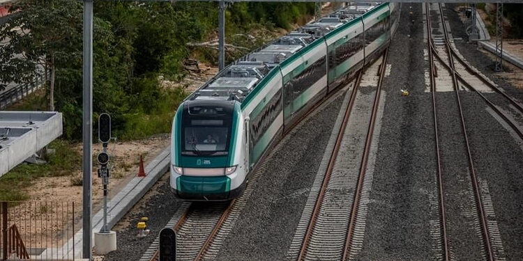 Proyecta la Semarnat restauración integral en ruta del Tren Maya