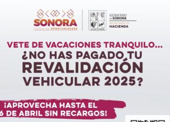 Gobierno de Sonora invita a realizar la revalidación vehicular 2025 sin recargos