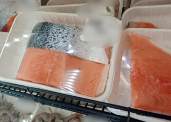 Recomienda Gobierno de Sonora medidas para evitar intoxicaciones por mariscos en mal estado