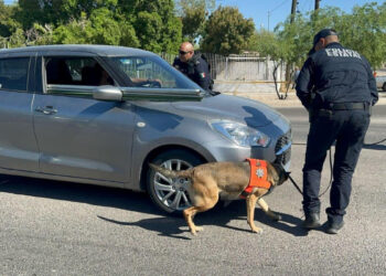 Promueve Gobierno de Sonora operativos de la Policía Estatal para unas vacaciones seguras