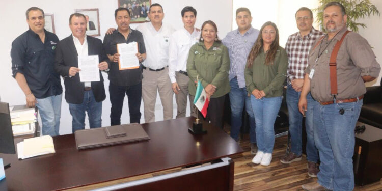 Gobierno de Sonora busca conservar al Berrendo Sonorense en convenio con empresa minera