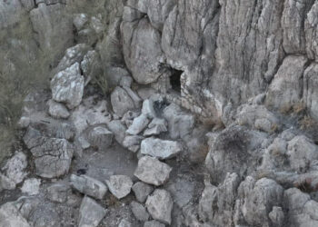 Gobierno de Sonora localiza narcótico en Cerro de la Campana gracias a labores de inteligencia: SSP