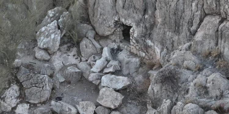 Gobierno de Sonora localiza narcótico en Cerro de la Campana gracias a labores de inteligencia: SSP