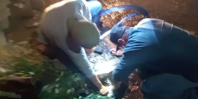 Refuerza Oomapas acciones para mejorar abasto de agua