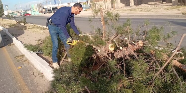 En Agua Prieta trabajamos por una ciudad limpia y segura