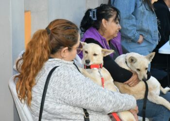 Invita Ayuntamiento de Hermosillo a aprovechar las jornadas de esterilización y desparasitación a perros y gatos