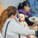 Invita Ayuntamiento de Hermosillo a aprovechar las jornadas de esterilización y desparasitación a perros y gatos
