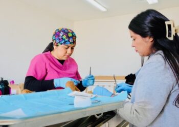 Llaman a esterilizar mascotas en jornada de Salud Pública