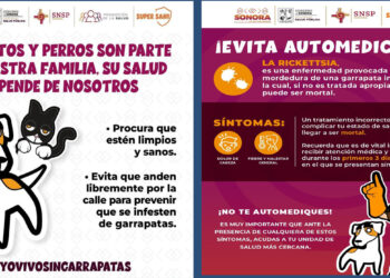 Exhorta Gobierno de Sonora a detectar a tiempo la rickettsiosis para una atención oportuna