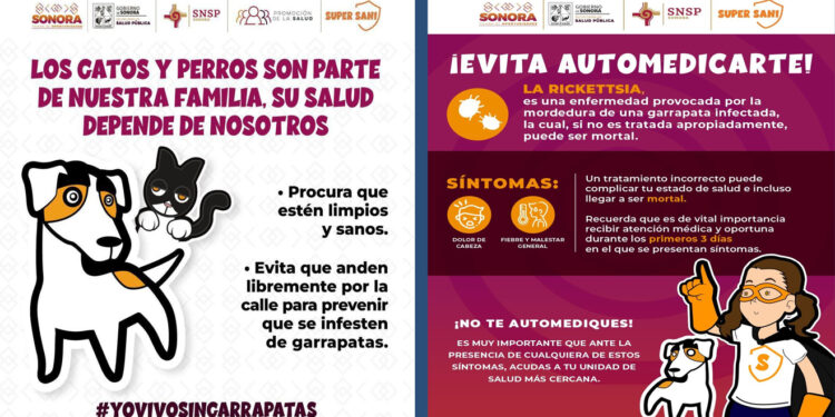 Exhorta Gobierno de Sonora a detectar a tiempo la rickettsiosis para una atención oportuna