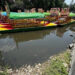 Acusan deterioro en canales de Xochimilco por nula conservación
