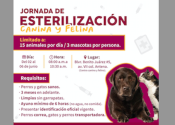 Jornada de Esterilización Canina y Felina
