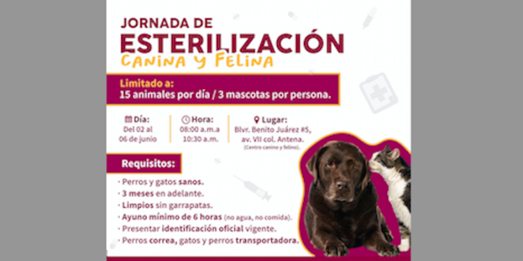 Jornada de Esterilización Canina y Felina