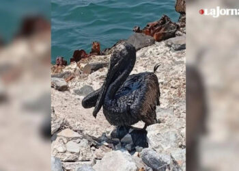 Tabasco: se extiende derrame de crudo