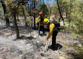 Combaten nuevo incendio forestal en Arizpe