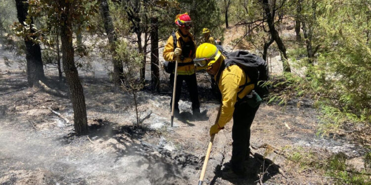 Combaten nuevo incendio forestal en Arizpe