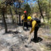 Combaten nuevo incendio forestal en Arizpe