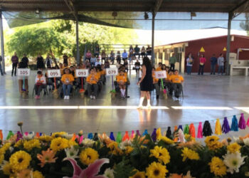 Participan más de mil alumnos en la Olimpiada del Conocimiento Infantil