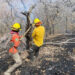 Logran sofocar el incendio forestal en Bavispe