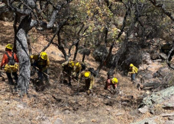 Combaten incendio forestal en Arizpe