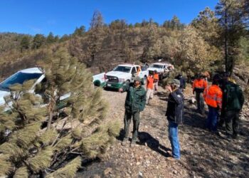 Se presentan 4 incendios forestales en Sonora