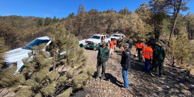 Se presentan 4 incendios forestales en Sonora