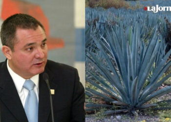 Tequila se usó para lavar dinero de García Luna, según demanda entre privados