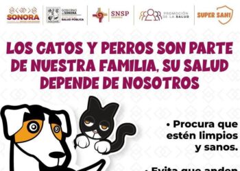 Exhorta Gobierno de Sonora a detectar a tiempo la rickettsiosis para una atención oportuna