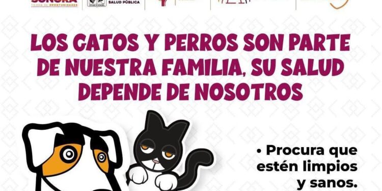 Exhorta Gobierno de Sonora a detectar a tiempo la rickettsiosis para una atención oportuna